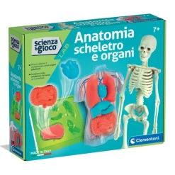 Anatomia Scheletro e Organi^Clementoni Hot