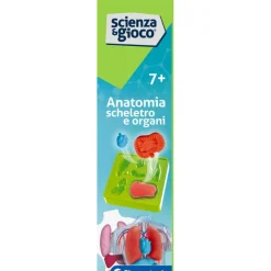 Anatomia Scheletro e Organi^Clementoni Hot