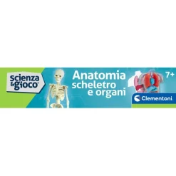 Anatomia Scheletro e Organi^Clementoni Hot