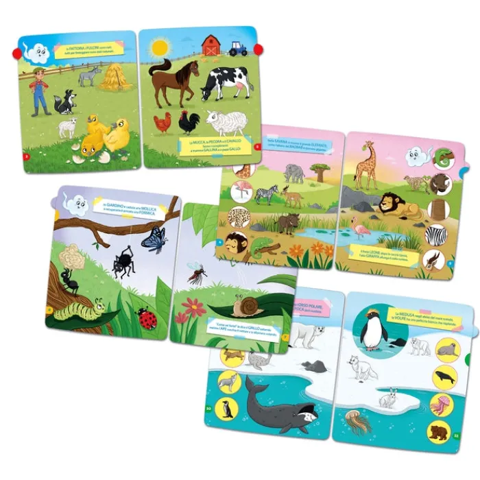 Animali e Ambienti^Clementoni Sale