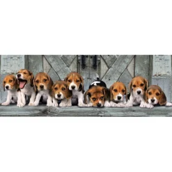 Beagles - 1000 pezzi^Clementoni New