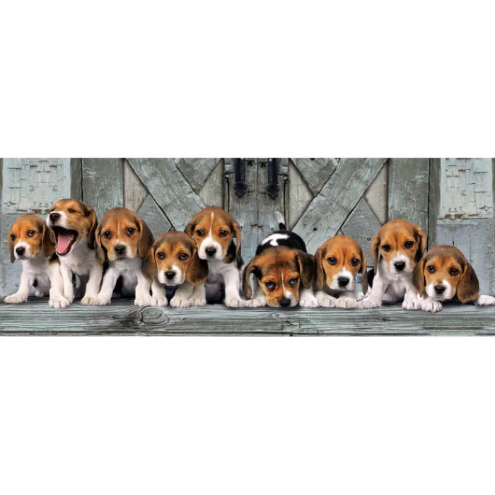 Beagles - 1000 pezzi^Clementoni New