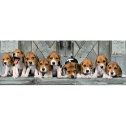 Beagles - 1000 pezzi^Clementoni Sale