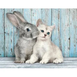 Cat & Bunny - 500 pezzi^Clementoni
