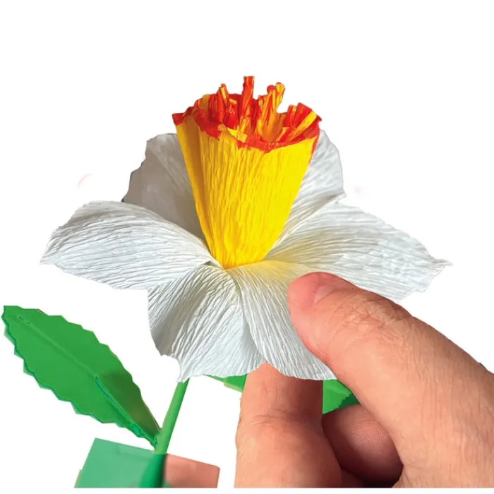 Create your Flowers - Narciso^Clementoni Outlet