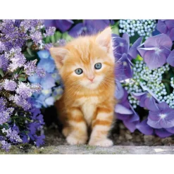 Ginger cat - 500 pezzi^Clementoni Hot