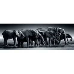 Herd of Giants - 1000 pezzi^Clementoni Hot