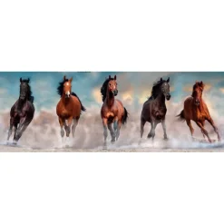 Horses - 1000 pezzi^Clementoni Online