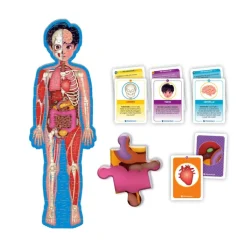 Il Corpo Umano^Clementoni Online