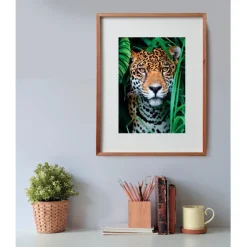 Jaguar in the Jungle - 500 pezzi^Clementoni Sale