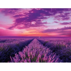 Lavender Field - 1000 pezzi^Clementoni Discount