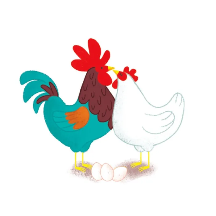 Le sequenze^Clementoni