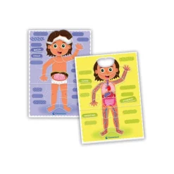 Montessori - Il Corpo Umano^Clementoni Clearance