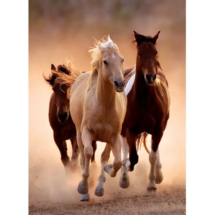 Running Horses - 1000 pezzi^Clementoni Best