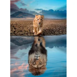 Self Reflection - 300 pezzi^Clementoni Discount
