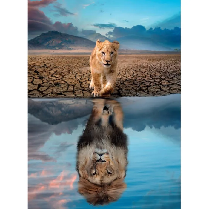 Self Reflection - 300 pezzi^Clementoni Discount