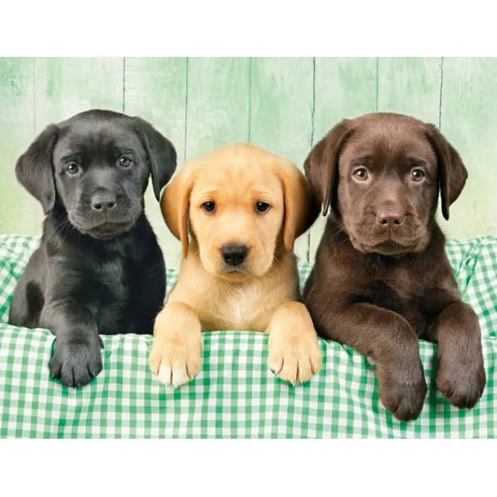 Three Labs - 1000 pezzi^Clementoni
