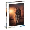 Tiger - 1500 pezzi^Clementoni